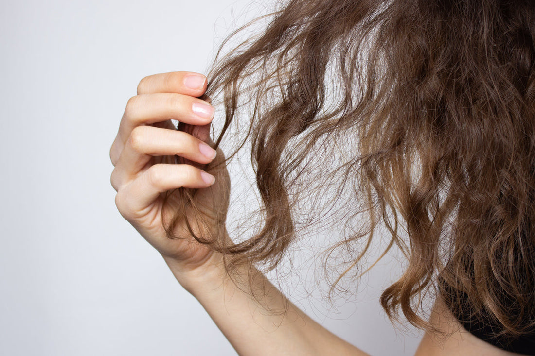 Why Does Hair Get Frizzy And How Can You Control It?