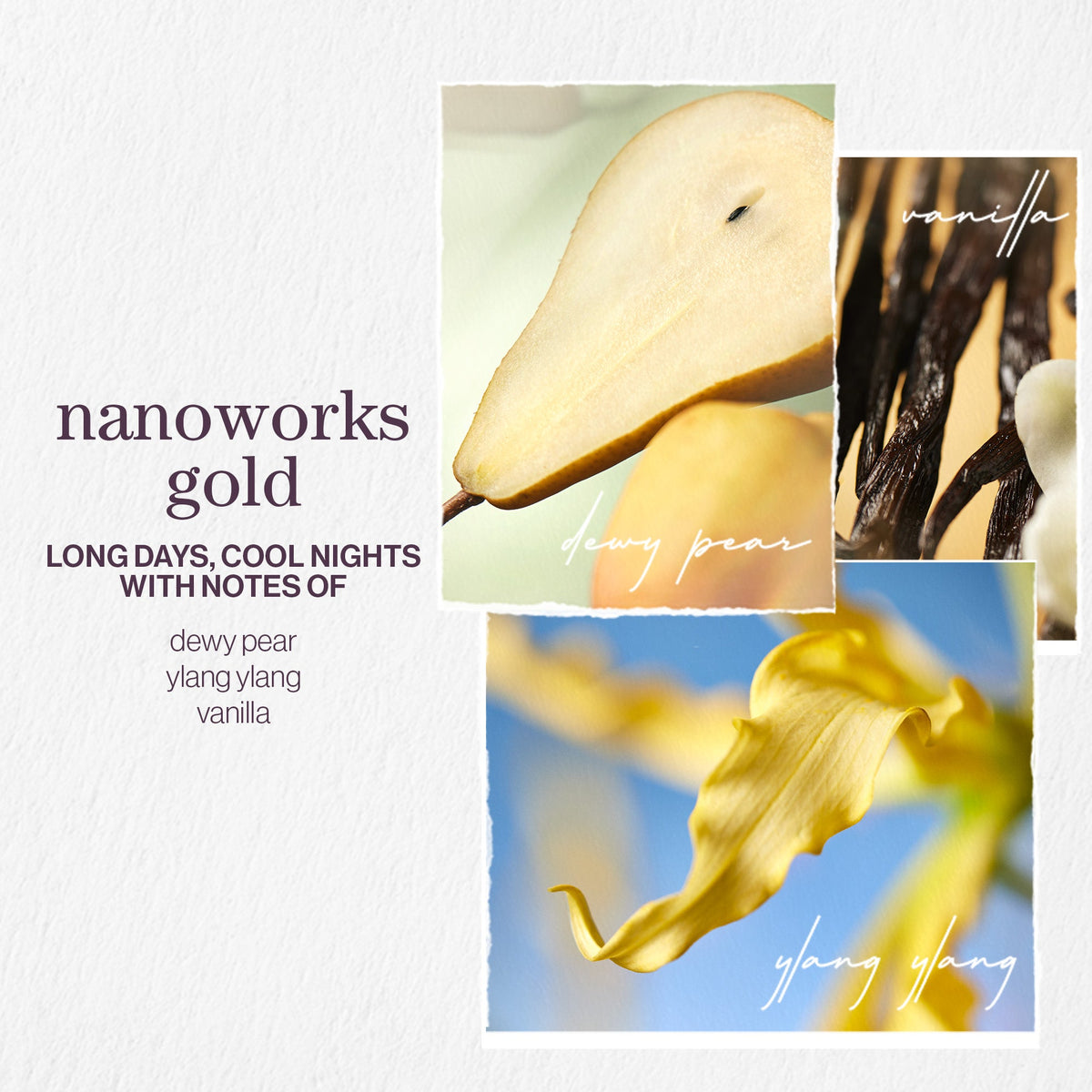Pureology Nanoworks Gold Conditioner 1000ml – brand image 7