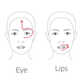 Dr Levy The Contour Pro — image 6
