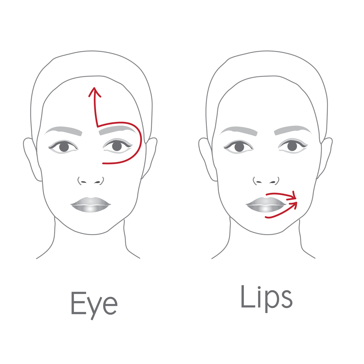 Dr Levy The Contour Pro — image 6